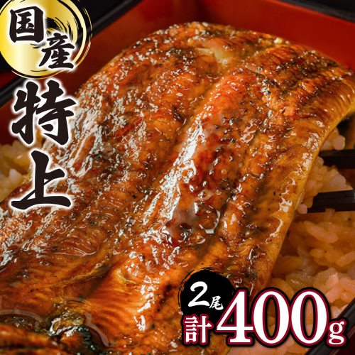 ≪2025年7月配送≫【数量限定】『国産』うなぎ蒲焼 2尾 計400g ※一部配送不可地域あり　B-1069-PE
