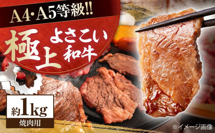 
高知県産 よさこい和牛 焼肉用 約1kg 牛肉 国産 焼き肉 BBQ A4 A5 【(有)山重食肉】 [ATAP064]
