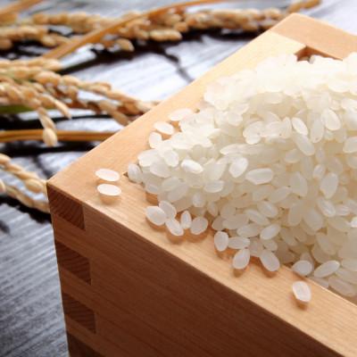 ふるさと納税 新庄市 【毎月定期便】魅惑のはえぬき(精米)10kg(5kg×2袋)　全3回 |  | 01