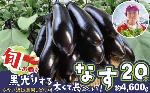ナス 黒光りする太くて長い！20本　【80P3207】