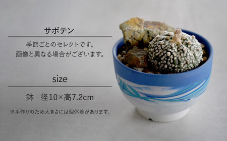 多治見市×春日井市コラボ 【美濃焼】 陶芸家「北川和喜」 碗型植木鉢 S× 【日本有数のサボテンの生産地】 春日井市の名店 後藤サボテン 【井澤コーポレーション】[TBP177]