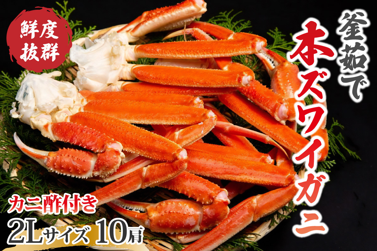 
            【到着日指定可、ゆでたて冷蔵便】大好評！カニ酢付き　厳選！！釜茹で　本ズワイガニ　２Lサイズ10肩　YK00311
          