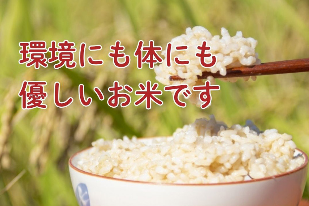 新米 米 令和7年産【特別栽培米】あきたこまち【玄米】5kg