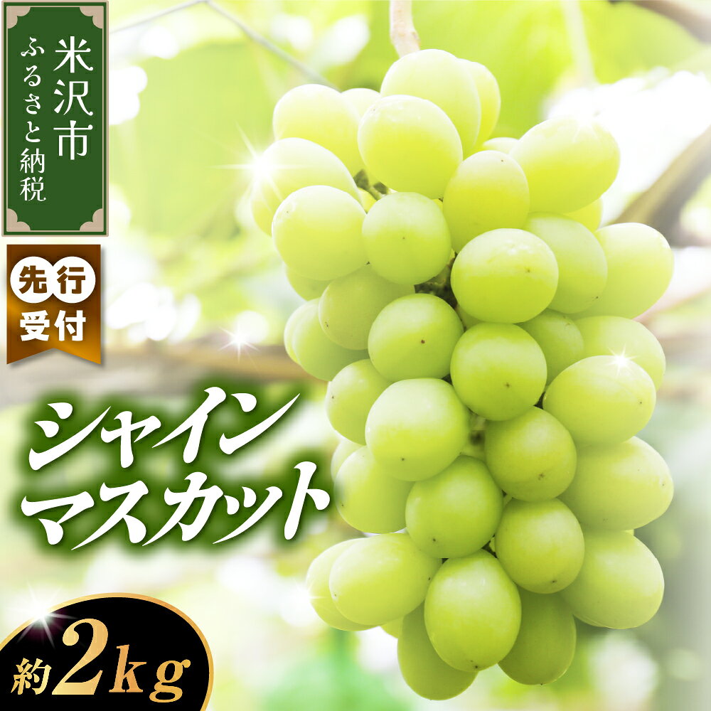 【ふるさと納税】【先行予約】【数量限定】【令和8年産】ぶどう シャインマスカット 2kg ( 3～4房 ) 2026年9月15日～9月30日頃お届け予定