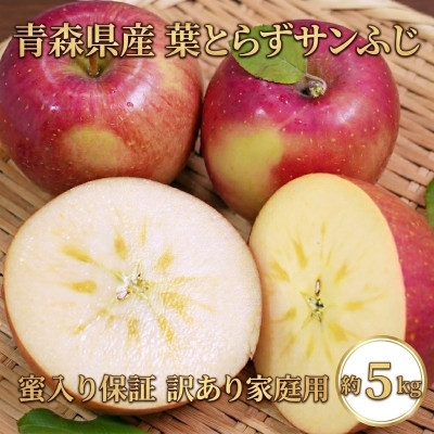 
                  ＜26年11月から順次発送＞平均糖度13度以上! 葉とらずサンふじ 約5kg 訳あり 青森りんご【1612855】
                