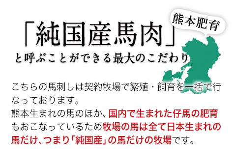 手作りハン馬ーグ 100g×10個 馬肉100% ハンバーグ   肉 お手軽 《30日以内に出荷予定(土日祝除く)》---oz_fkgumburg_30d_23_12000_10k---