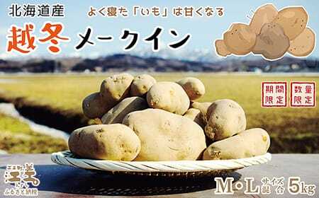 【早期予約 2026年2月より順次出荷】北海道産 越冬メークイン M・L混合 5kg　低温熟成　糖度アップ　訳あり　農家直送　越冬じゃがいも　越冬いも　よく寝たいも　甘い　芋の塩煮にぴったり　じゃがバター　いかの塩辛と一緒にどうぞ