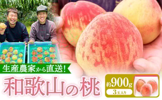 桃 和歌山県産の桃 約900g (3玉入り) GREEN JUNCTION株式会社《2025年6月中旬-2025年8月末頃出荷》和歌山県 紀の川市 桃 果物 果実 フルーツ 自然栽培 送料無料