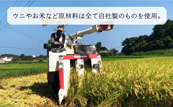 レンジで簡単 うに飯4個セット うに味噌玉付き【シーガルイン】《壱岐市》【シーガルイン】[JAB004] うに ウニ ご飯 味噌 みそ 炊き込み 12000 12000円