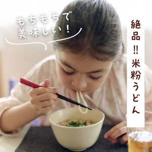 米粉うどん 10食セット　うどん 小麦粉不使用 グルテンフリー 冷凍 保存食 個包装 麺 京都府 南丹市