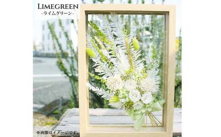 ＜ R8年熊本地震復興支援 ＞【ライムグリーン】 プリザーブドフラワー ガラスフレーム 「HERBIER(エルビエ) 」