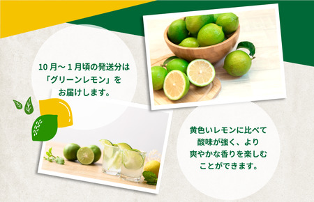 【有機】せとうちレモン　今治産　5kg【K002330KG5】
