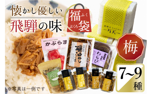 懐かし優しい飛騨の味 福袋【梅】7～9種類 詰め合わせ セット 米 山菜 缶詰 お惣菜 ご飯のお供 熨斗対応 熨斗掛け 内祝い 贈答用 ギフト