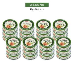 【3ヵ月ごと定期便／全3回】オリーブオイルツナ缶セット 24缶 まぐろ油漬フレーク(70g×24缶) x 3回＜計72缶＞