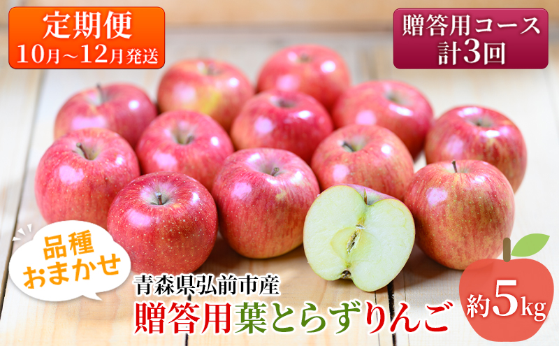 りんご 【10月～12月発送 りんご定期便 】糖度13度以上 贈答用 葉とらずりんご 約 5kg × 3回 贈答用コース【 弘前市産 青森りんご 】