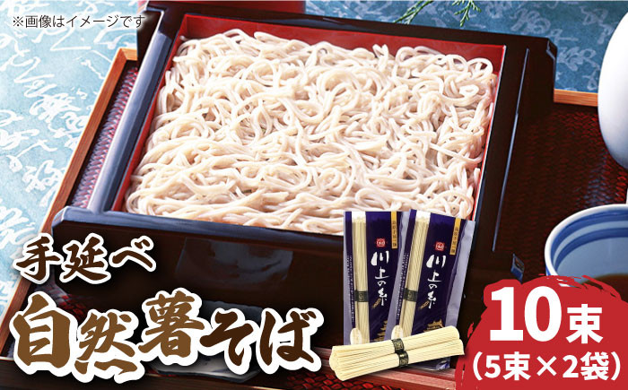 
手延べ 自然薯 そば 500g（250g×2） / 蕎麦 麺 長崎 / 南島原市 / 川上製麺 [SCM021]
