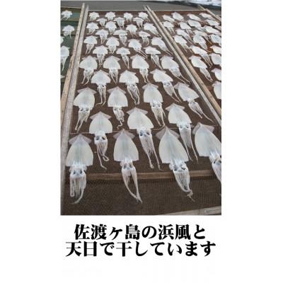 ふるさと納税 佐渡市 天日干し 一夜干しいか&塩辛のセット |  | 02