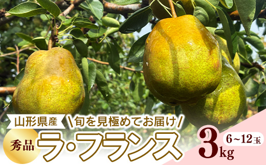 【ふるさと納税】令和8年産 西洋梨 ラ・フランス 秀品 3kg 山形県産【2026年10月下旬頃から12月中旬頃発送予定】　012-B-RF012 3kg