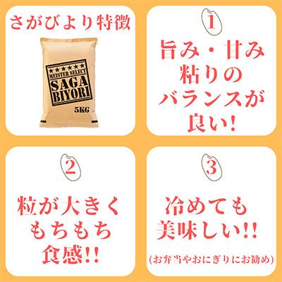 ふるさと納税 伊万里市 【毎月定期便】【玄米】 さがびより5kg【特A評価】(伊万里市)全5回 |  | 01