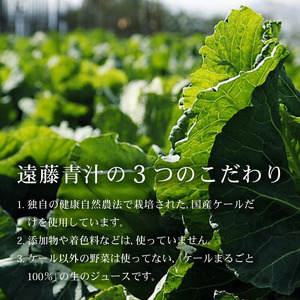 【6回定期便】 豆乳青汁 【生】 冷凍 3箱 8.4kg(100g×84袋) | 生青汁 国産青汁 ケール100％青汁 青汁セット 大豆青汁