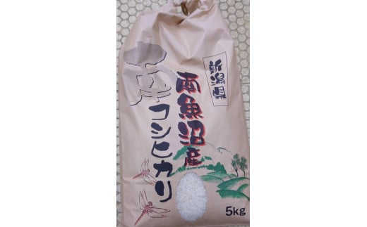 南魚沼産コシヒカリ　5kg　令和7年産