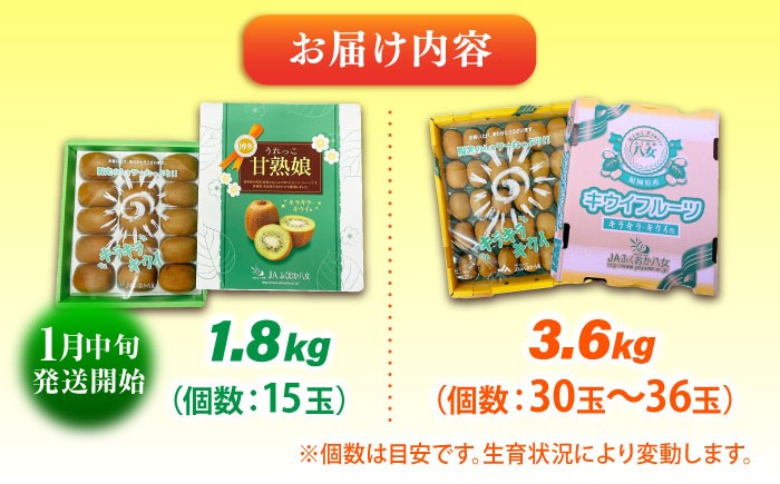 果物 キウイ きうい 選べる ビタミン 美容 キウイ