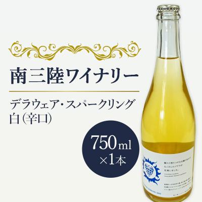 ふるさと納税 南三陸町 【南三陸ワイナリー】デラウェア・スパークリング　白(辛口)　750ml×1本