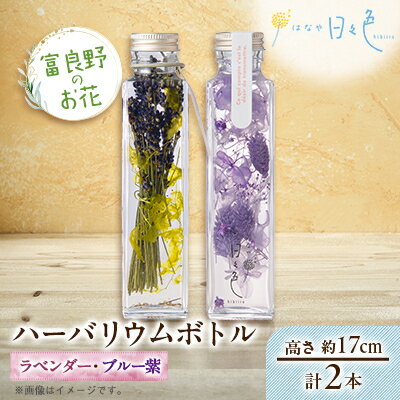 【ふるさと納税】【ギフト】富良野のお花 ハーバリウムボトル〈高さ約17cm〉 2本セット(ラベンダー、ブルー紫)【配送不可地域：沖縄県】【1552167】