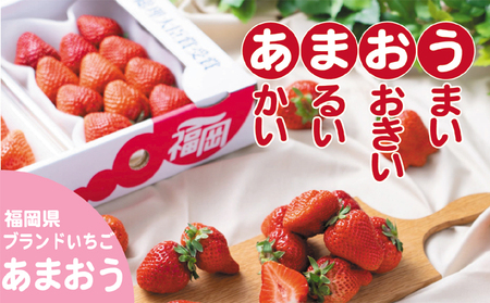 いちご あまおう 4パック 1Pあたり約250g 福岡産 いちご 春 果物類