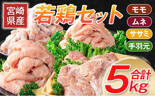
                  ［宮崎県産若鶏］モモ・ムネ・手羽元・ササミ 合計5kg ※90日以内に出荷【B320-2604】
                