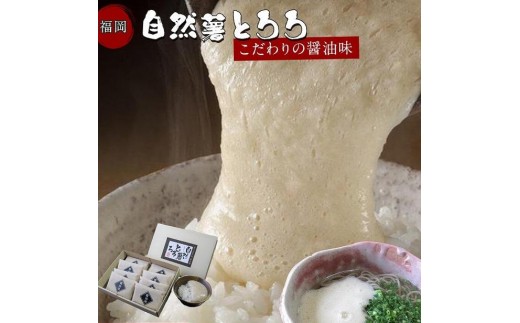 福岡市で作った弊社人気NO1の「自然薯とろろ（醤油味）」箱入セット | 福岡県 福岡市 福岡 九州 返礼品 納税 お取り寄せグルメ 取り寄せ グルメ 食品 お取り寄せ 自然薯 とろろ ご当地グルメ ご当地 特産品 おいしい 美味しい 食べ物