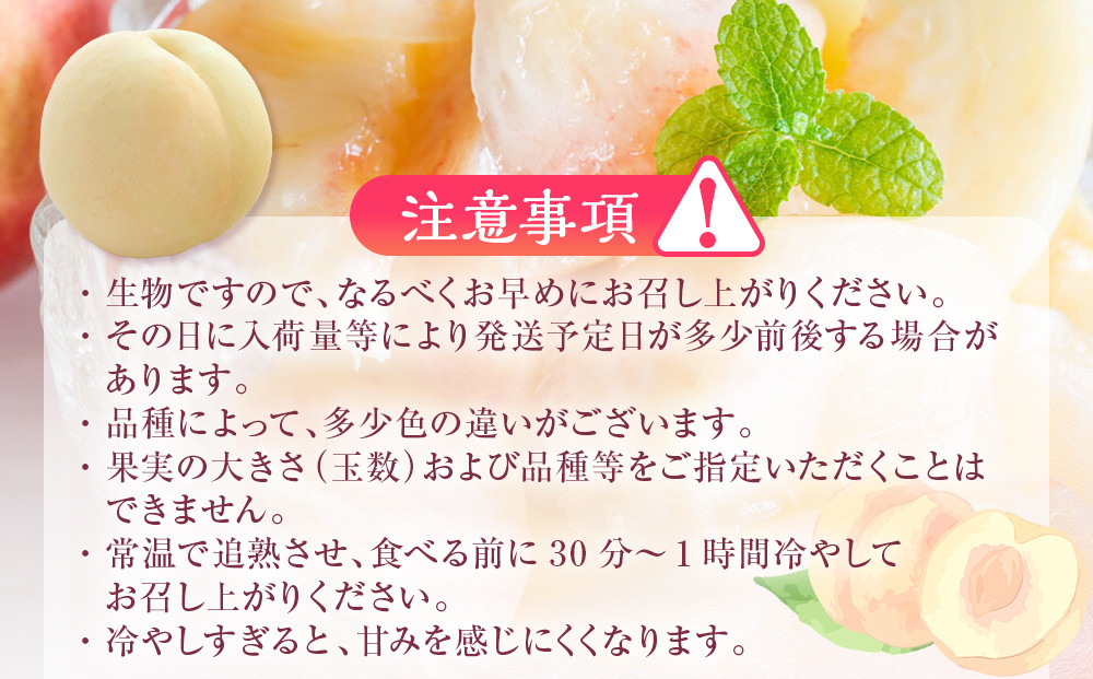 岡山県産 桃 岡山白桃 2026年 エース 3玉×約200g 計600g Lサイズ もも モモ フルーツ 果物 ギフト