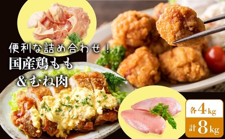 鶏肉 国産 もも  むね セット 合計 8kg (各 4kg ) 冷蔵 鶏肉鶏肉鶏肉鶏肉