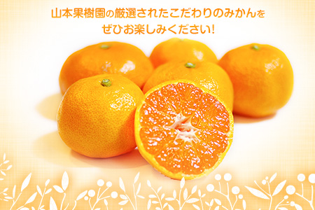 山本果樹園の旬のみかん 5kg 山本果樹園《９月中旬-2月末頃出荷予定》蜜柑 柑橘 ひのあかり 日南 豊福　肥後早生 青島 フルーツ 果物
