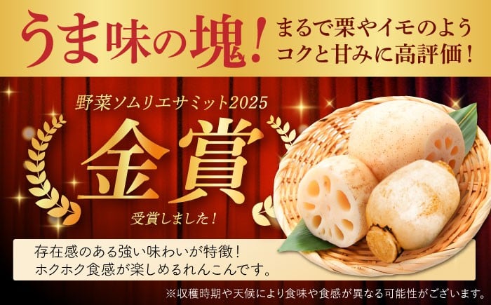 金賞受賞のこだわりれんこん！