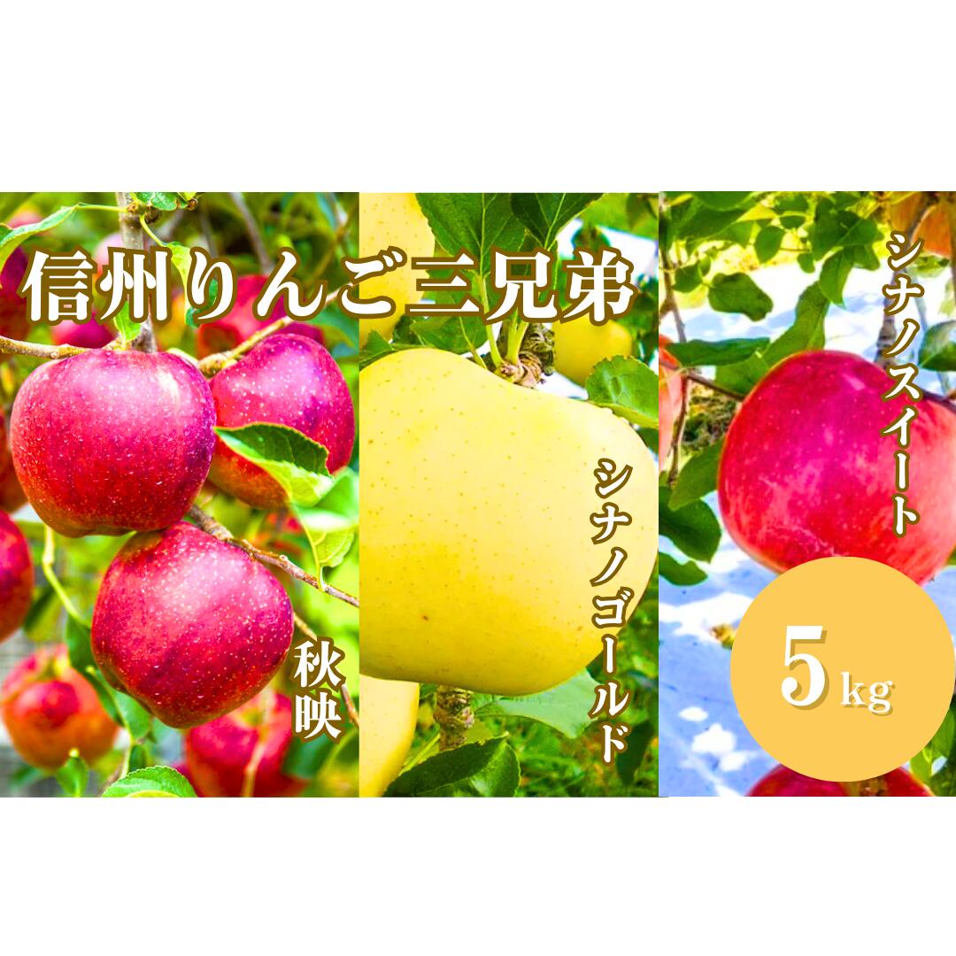 【ふるさと納税】【2025年先行予約】【10月下旬頃~発送予定】 信州 りんご三兄弟（秋映・シナノスイート・シナノゴールド）約3~5kg | 林檎 あきばえ オリジナル品種 食べ比べ セット 千曲市 長野県産 信州