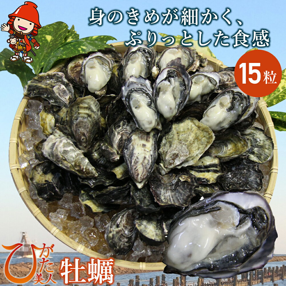 【ふるさと納税】【先行予約】中津ひがた美人 (牡蠣 15粒) 養殖 | 冷蔵 かき オイスター 酒の肴 つまみ おかず 大分県産 九州産 中津市 国産 送料無料 ＜発送期間：令和7年12月～令和8年4月末までの予定＞