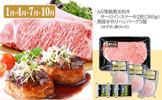 定期便(3回配送)鹿児島産A5等級黒毛和牛&黒豚　EE-6014【1471286】_ ふるさと納税 定期便 牛肉 豚肉 A5等級 黒毛和牛 黒豚 焼肉 サーロイン ステーキ ハンバーグ しゃぶしゃぶ すき焼き