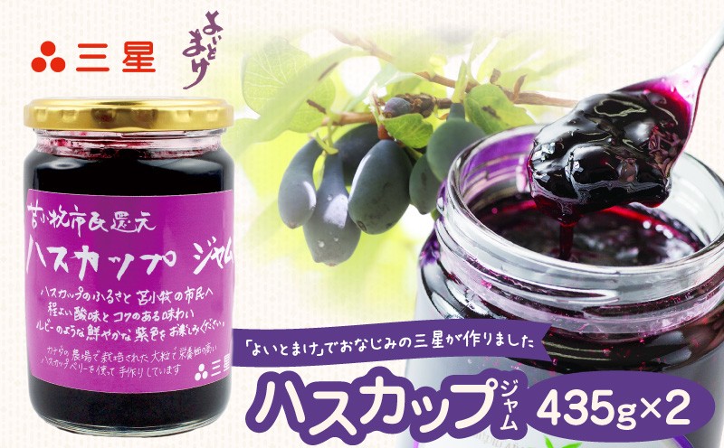 
                  カナダ産 苫小牧市民還元 ハスカップジャム 435g（2瓶）　T044-017-02
                