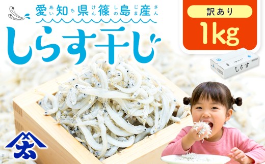 【特別寄附額】【スピード発送】＜篠島産＞ 訳あり しらす干し1kg シラス 南知多産 愛知