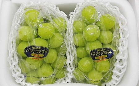 シャインマスカット 晴王 化粧箱入り 岡山県産 シャインマスカット【2房 1房480g以上】【先行予約】