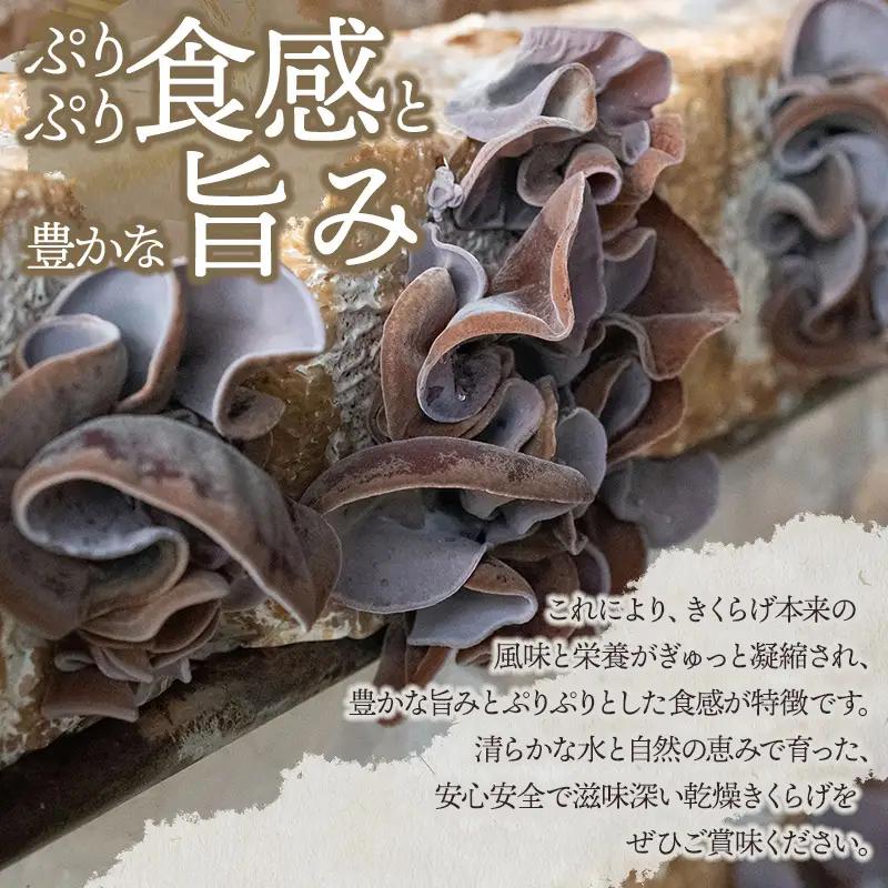 羽黒産 乾燥キクラゲ 60g(12g×5)　山形県鶴岡市 農事組合法人 庄内おばこ農場 K-710