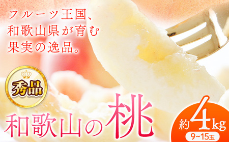 【先行予約】秀品和歌山の桃約4kg 9～15玉 紀の川市厳選館 《2026年6月下旬-7月中旬頃出荷》 和歌山県 紀の川市