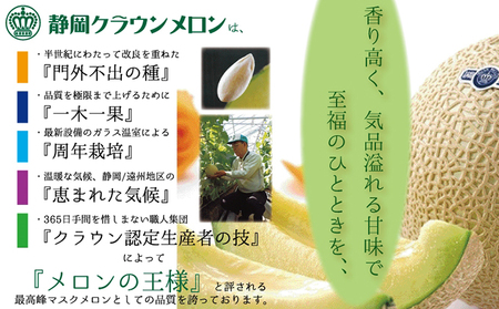 メロン 訳あり 2玉 フルーツ 果物 くだもの 季節のフルーツ メロン
