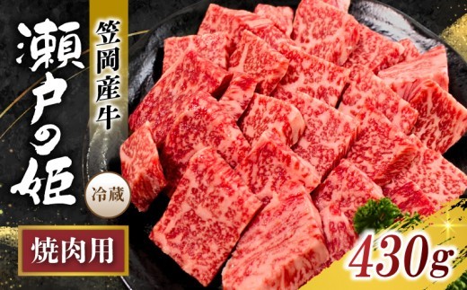 
                  焼肉用 【冷蔵配送】 瀬戸の姫 430g以上 岡山県笠岡産牛 ｜ 肉 肉切り落とし 牛肉 切り落とし 小分け 細切れ 焼肉用 焼肉 数量限定 送料無料 おすすめ コスパ 肉 肉切り落とし 牛肉 切り落とし 小分け 細切れ 焼肉用 焼肉 数量限定 送料無料 おすすめ コスパ肉 肉切り落とし 牛肉 切り落とし 小分け 細切れ 焼肉用 焼肉 数量限定 送料無料 おすすめ コスパ 【tfam002-01】
                