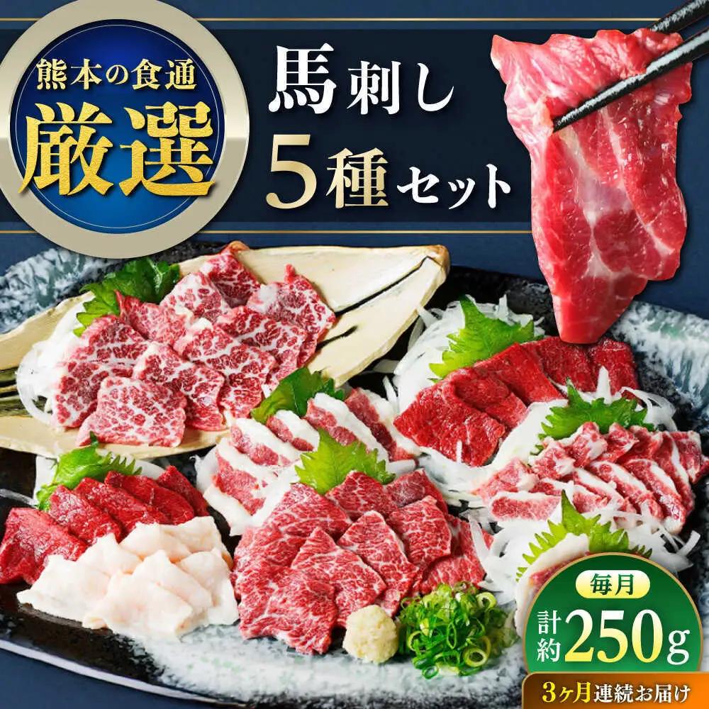 【全3回定期便】馬刺し 5種 盛り合わせセット 5人前 約250g 馬刺し[AYAT023]