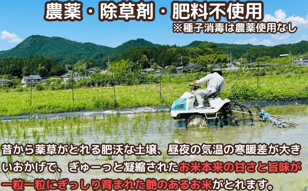 先行予約販売★自然栽培米★新米【令和6年産】玄米 2kg ９月末より順次発送/自然栽培米 新米 令和6年産 玄米 農家やまおか 無農薬 国産 お米 奈良県 宇陀市