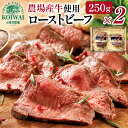 【ふるさと納税】 ローストビーフ おすすめ 小岩井農場 250g 2個 セット ／ 肉 お肉 国産 牛肉 惣菜 総菜 洋風惣菜 おかず おつまみ お土産 おみやげ お祝い 贈答用 ギフト クリスマス 誕生日 父の日 母の日 結婚祝い プレゼント 自分へのご褒美 人気 岩手県 雫石町 送料無料