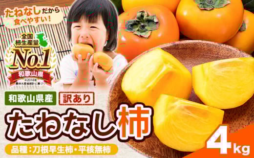 【ご家庭用/訳あり】たねなし柿4kg《2025年9月中旬-11月上旬頃より出荷予定》 和歌山県 紀の川市 柿 カキ かき ジューシー フルーツ