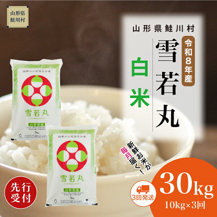 【ふるさと納税】＜令和8年産米先行受付＞ 鮭川村 雪若丸 【白米】30kg （10kg×1ヶ月間隔で3回お届け）＜配送時期選べます＞